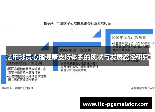 法甲球员心理健康支持体系的现状与发展路径研究