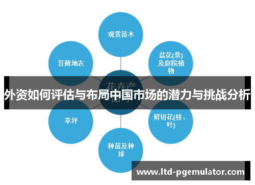 外资如何评估与布局中国市场的潜力与挑战分析