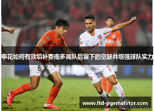 申花如何有效填补费南多离队后留下的空缺并增强球队实力