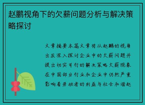 赵鹏视角下的欠薪问题分析与解决策略探讨