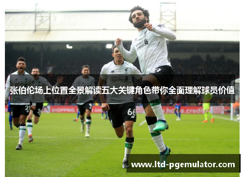 张伯伦场上位置全景解读五大关键角色带你全面理解球员价值