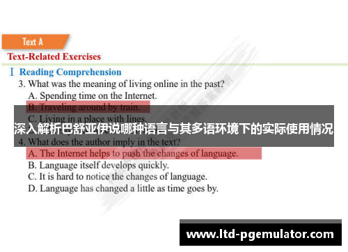 深入解析巴舒亚伊说哪种语言与其多语环境下的实际使用情况