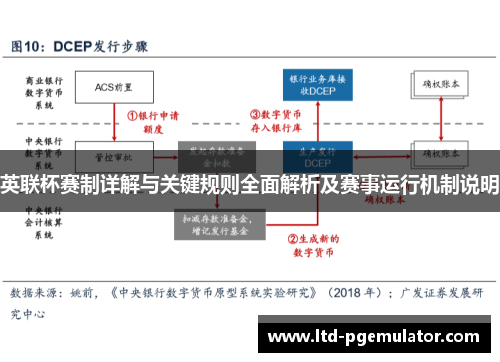 英联杯赛制详解与关键规则全面解析及赛事运行机制说明